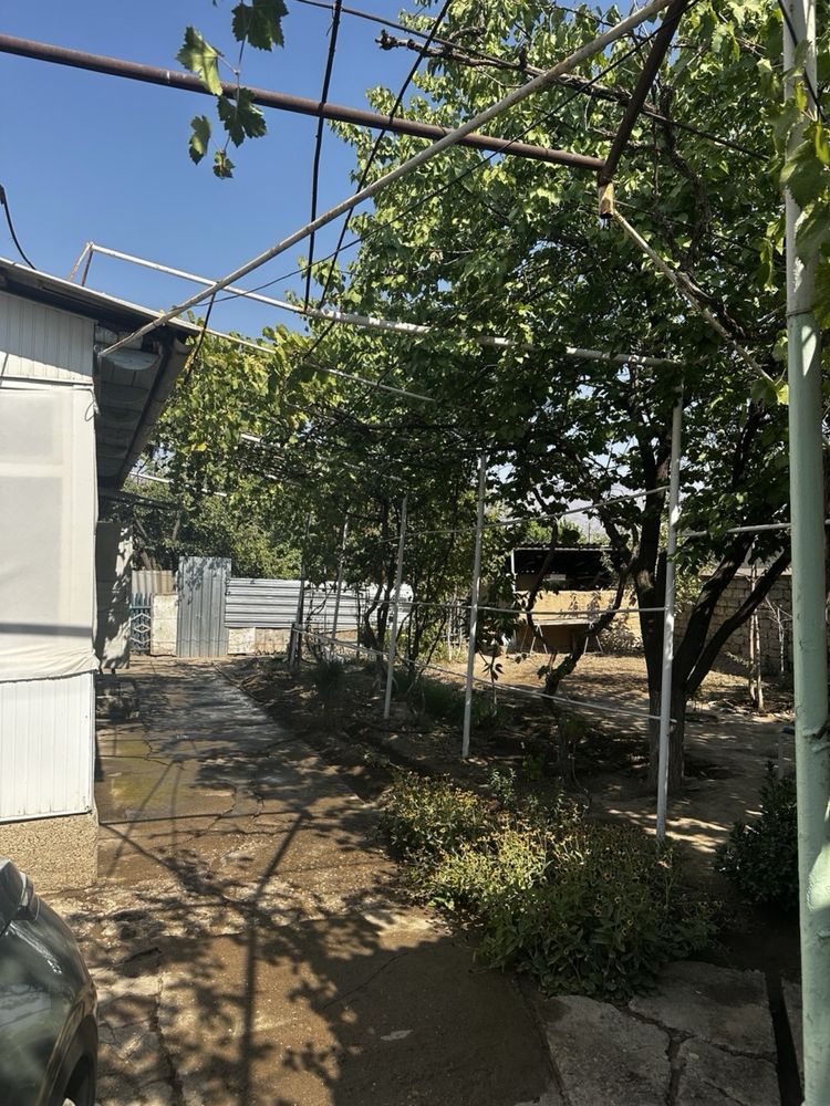 Участок в газалкенте, 6 соток