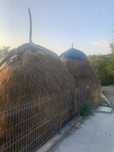 Ofer spre vanzare fan