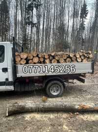 Vand lemne pentru foc fag