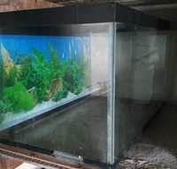 Продам аквариум 100 литров