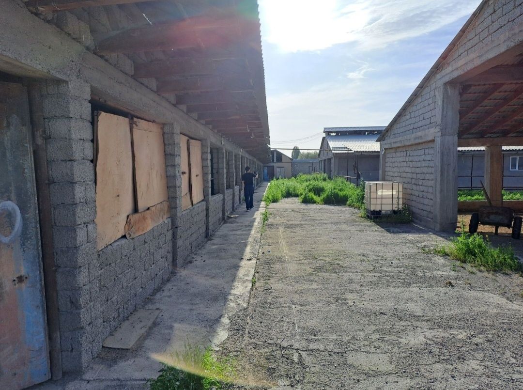 Кибрай! Продаётся 3,5 гектаров под ЖК или коттеджный городок