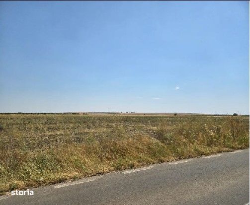 Teren extravilan Smardioasa, cota 1/6, ID: R2688427