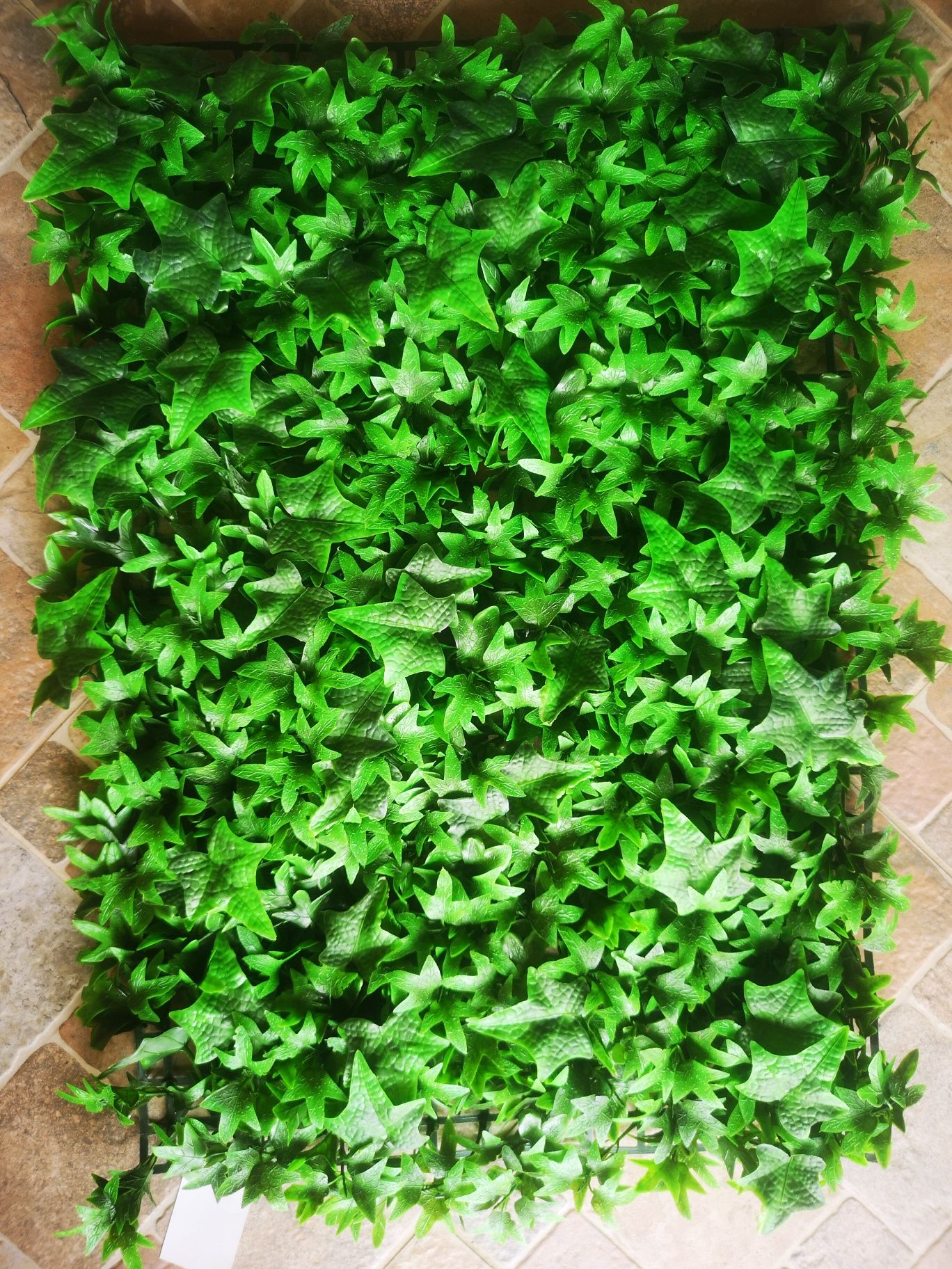 Panou Verdeata frunze decorativ verde 60 x 40 cm