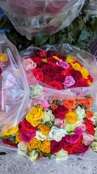 Butași trandafiri altoiți de diferite culori