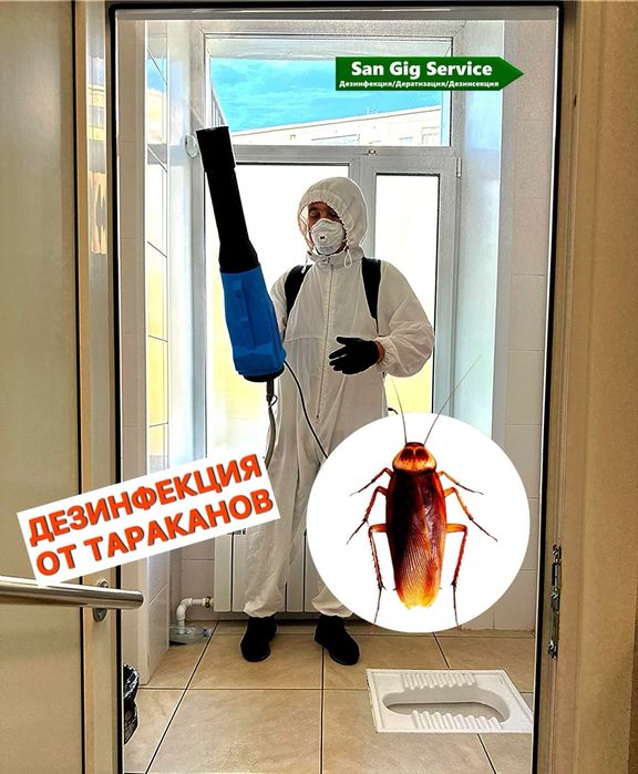 Дезинфекция Дезинсекция Дератизация
Усть-Каменогорск и по ВКО