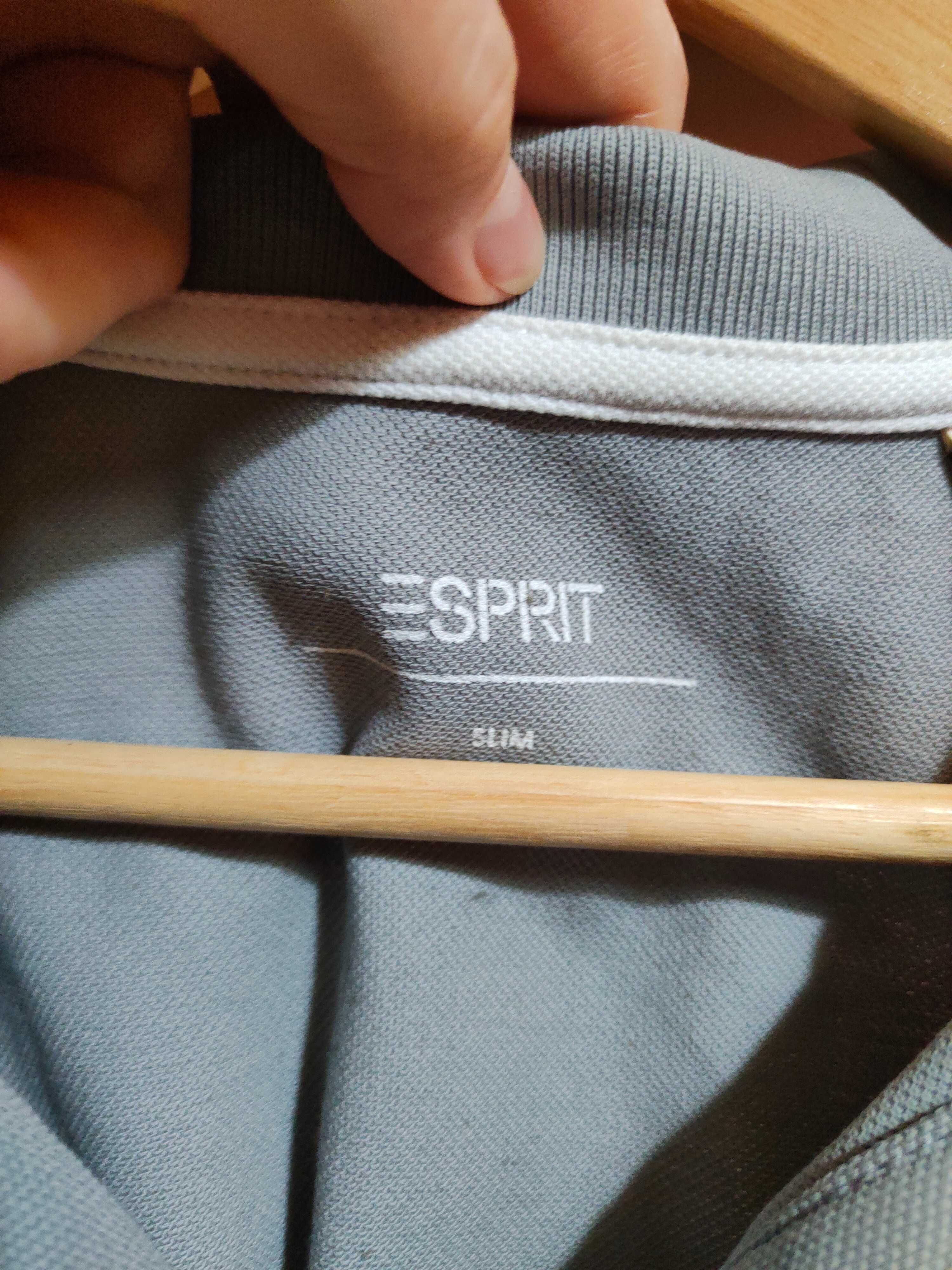 Мъжка поло тениска Esprit