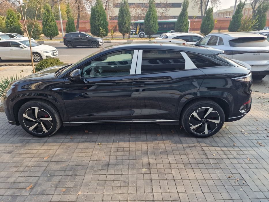 Byd sealiom 07  2025