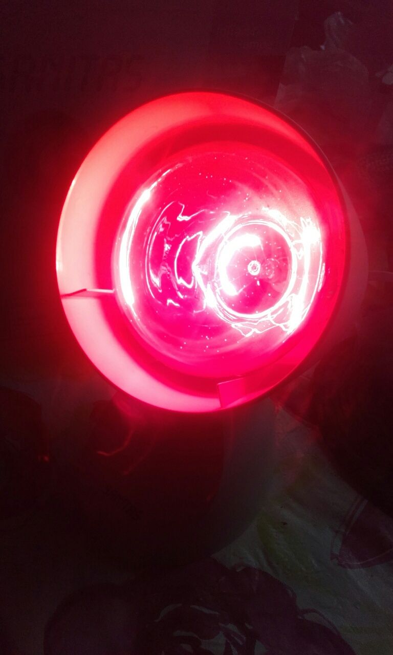 Lampă infraroșu Sanitas