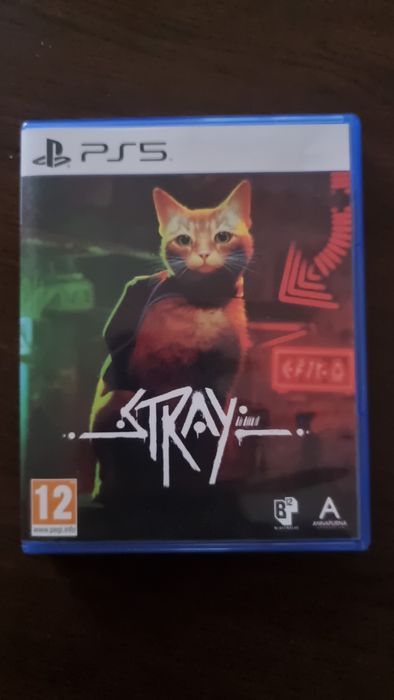 Stray playstation 5