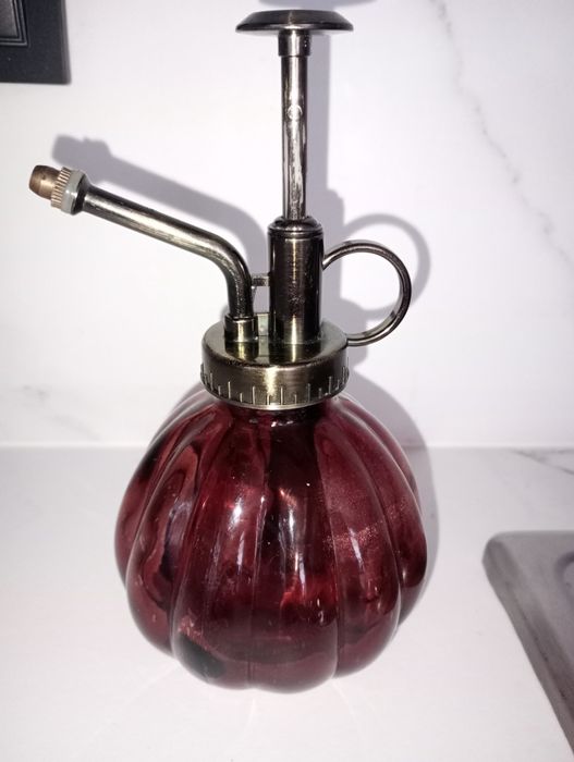 Стъклен пулверизатор за цветя