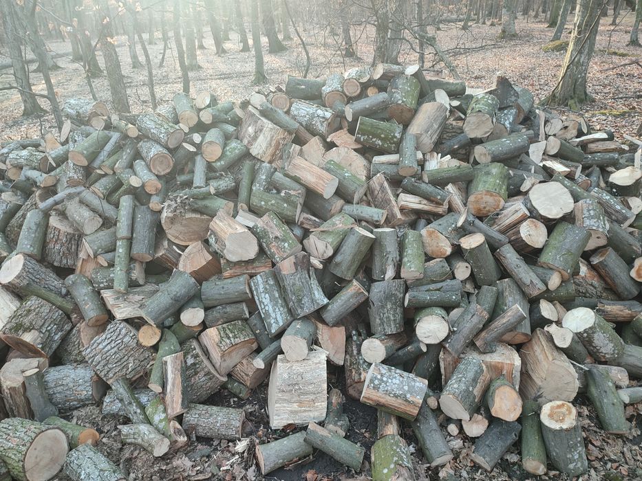 Lemne de foc esență tare carpen stejar cireș