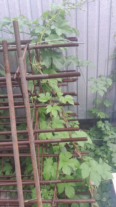 Металические прутя