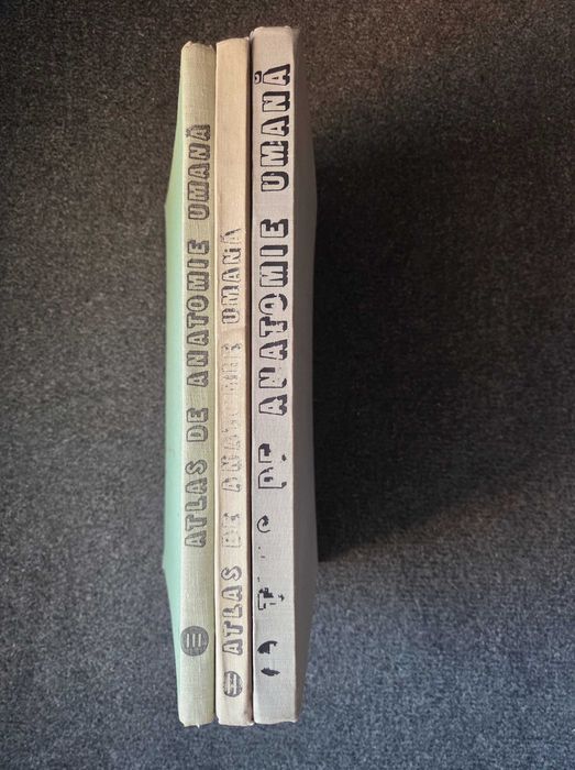 ATLAS DE ANATOMIE UMANA - Mircea Ifrim (3 volume)