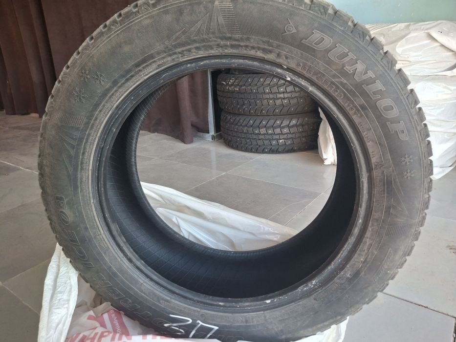 Шины зимние Dunlop