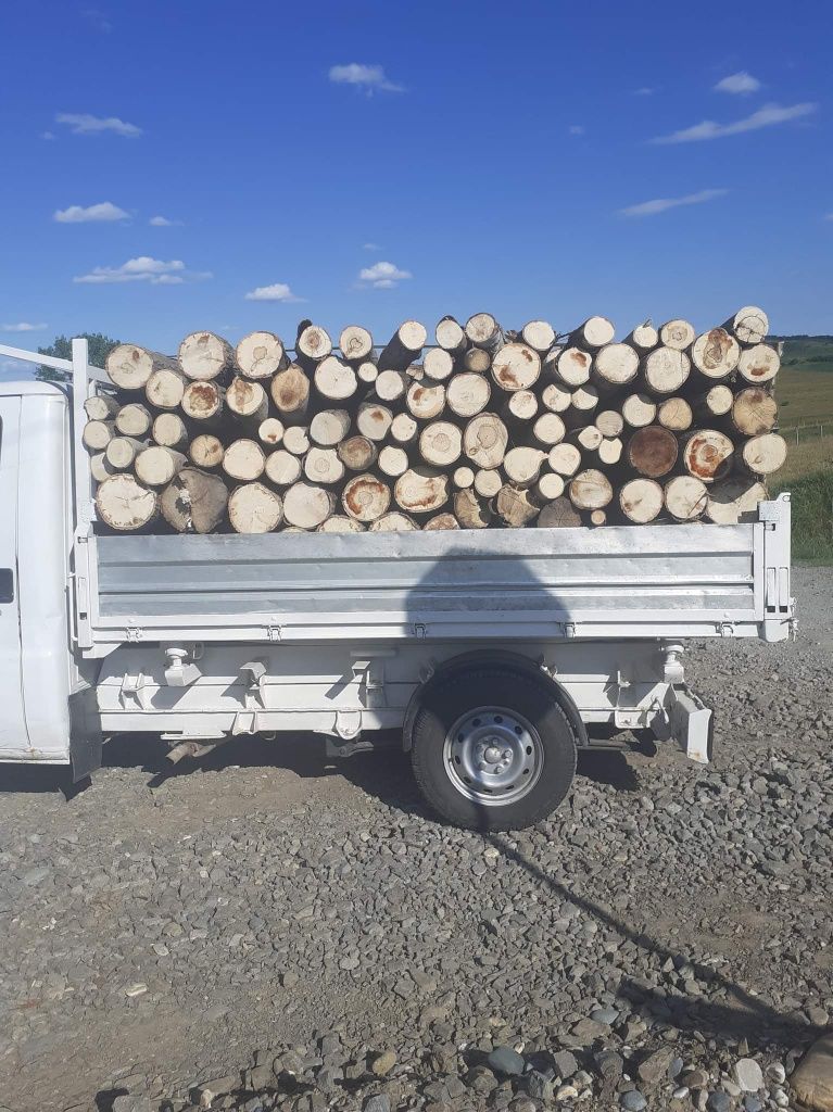 Vând lemne de foc la 250 de leu metru