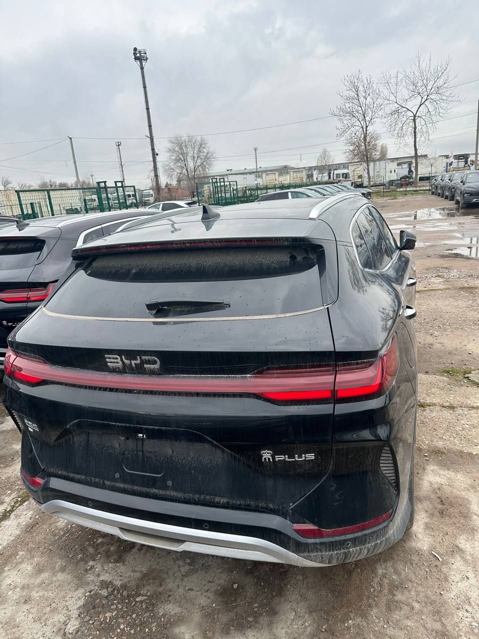 Byd chempion 605 km 2025 model Qora rangli Toshkentda tayyor