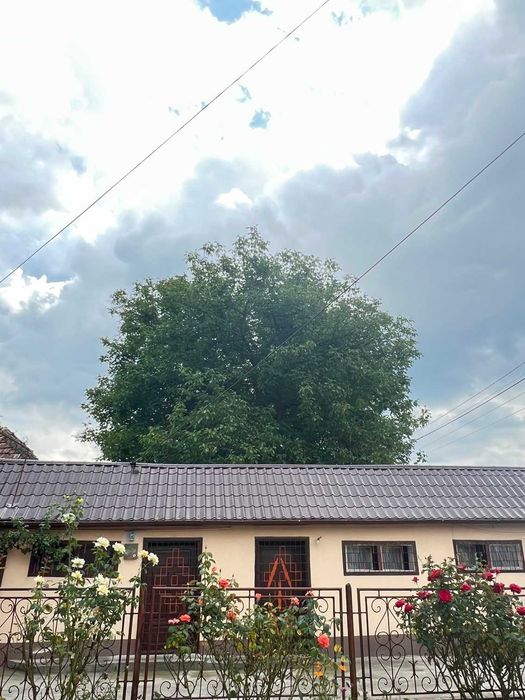 Casă individuală de vânzare