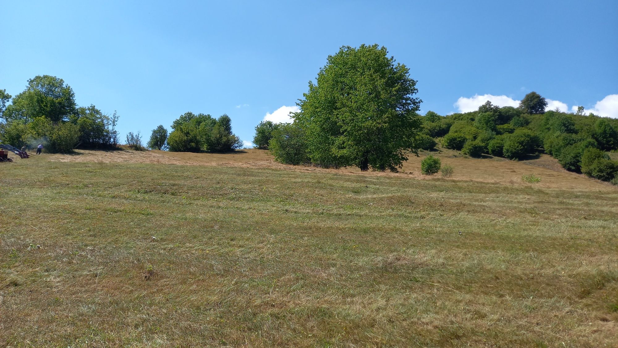 Teren 4577 m Rogojel jud Cluj