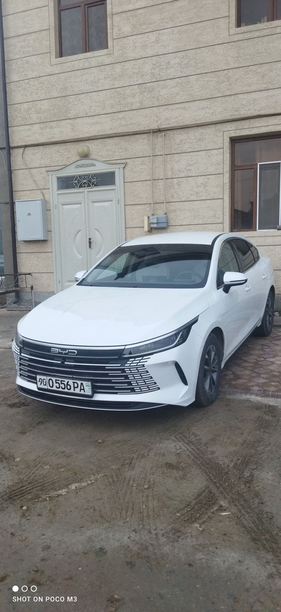 BYD Chazor 2024 oktabr