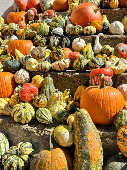 Dovleci ornamentali si dovleci de Halloween