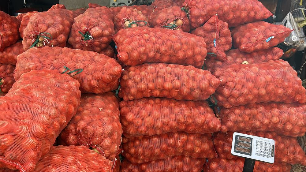 ПРОДАМ ЛУК по 100тг за 1 кг.