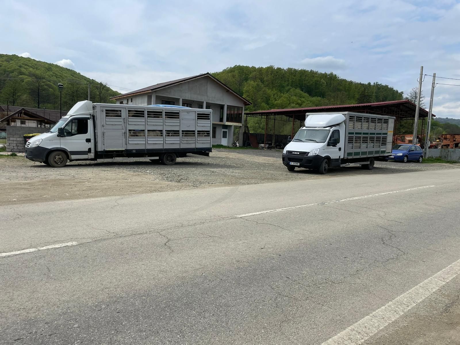 Transport animale vii autorizat pe 2 nivele sau 3 camion AG DB VL GJ D