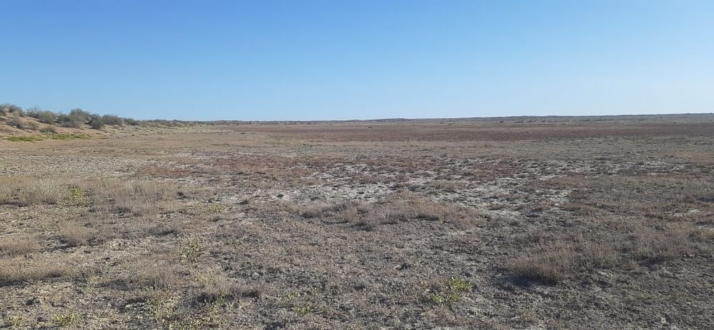 Фазенда жер жайлым жер сатамын илин обмен квартир Астану продам или об