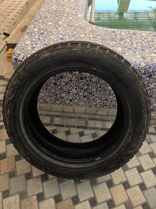 235/55R19 byd chempionga