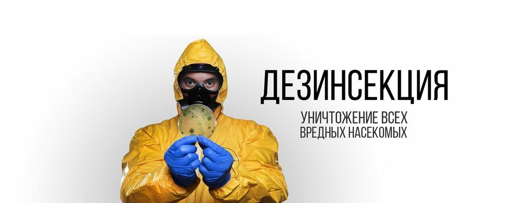 Dezinfeksiya — Klop Tarakan Chivin yo‘qotamiz Litsenziya Bor