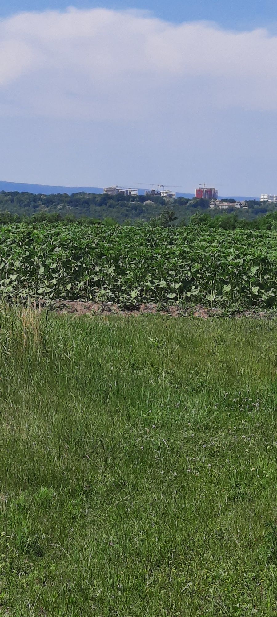 PF vand teren intravilan Sorogari-Aroneanu