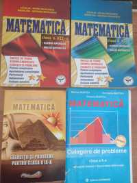 Cărți manuale matematica informatica anatomie