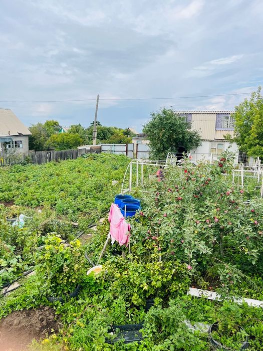 Продам дачу на Темерязева г Степногорск