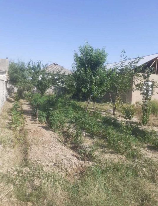 Дом 3 комн в Янгийуле