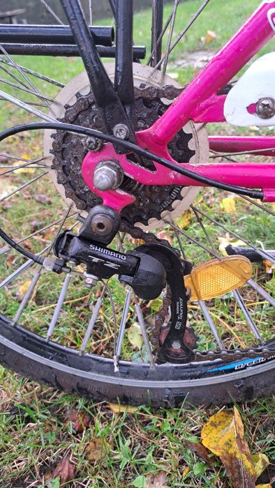 Bicicletă pentru fete!