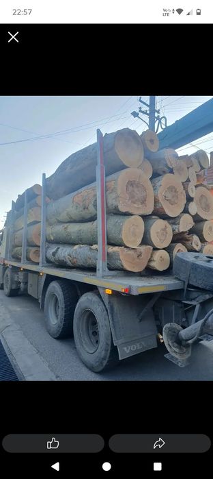 Vând lemn de foc pentru sobă SI centrala