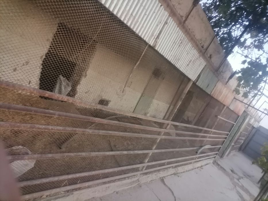 Продам дачу навои