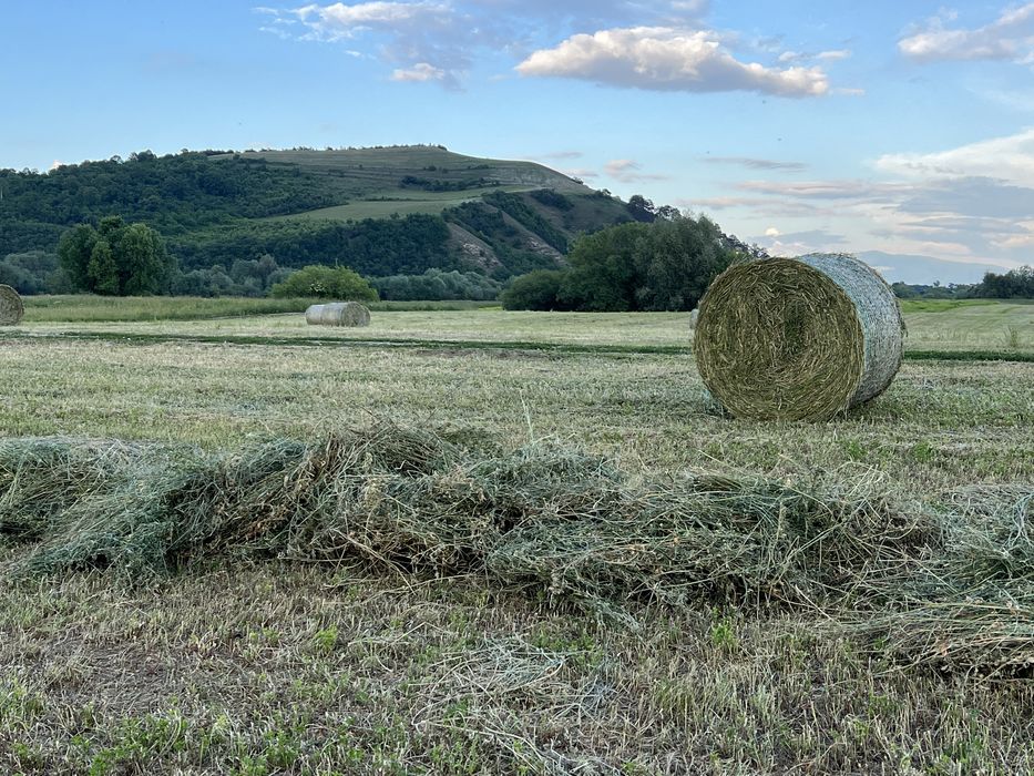 Baloti lucerna baloti fan role rotunde
