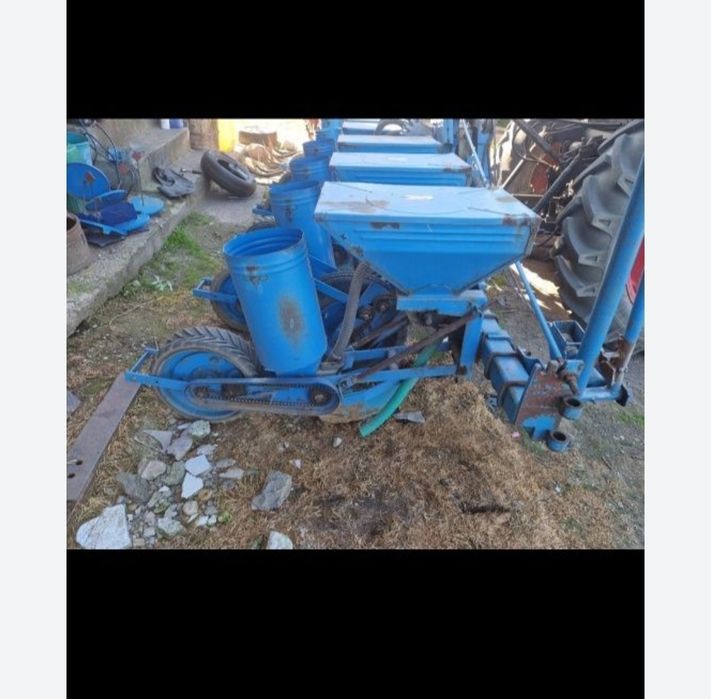 Cereale porumb Ceahlău