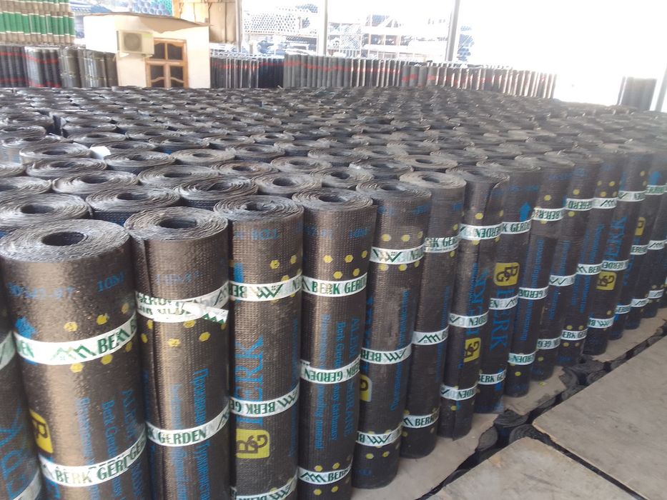 Berk memrana turman palizol