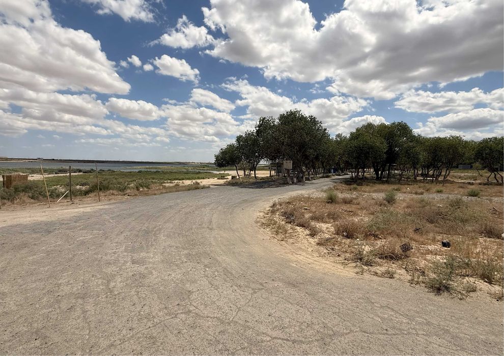 Тез-арада "Ашшы-кол" бойында жер майданы сатылады!