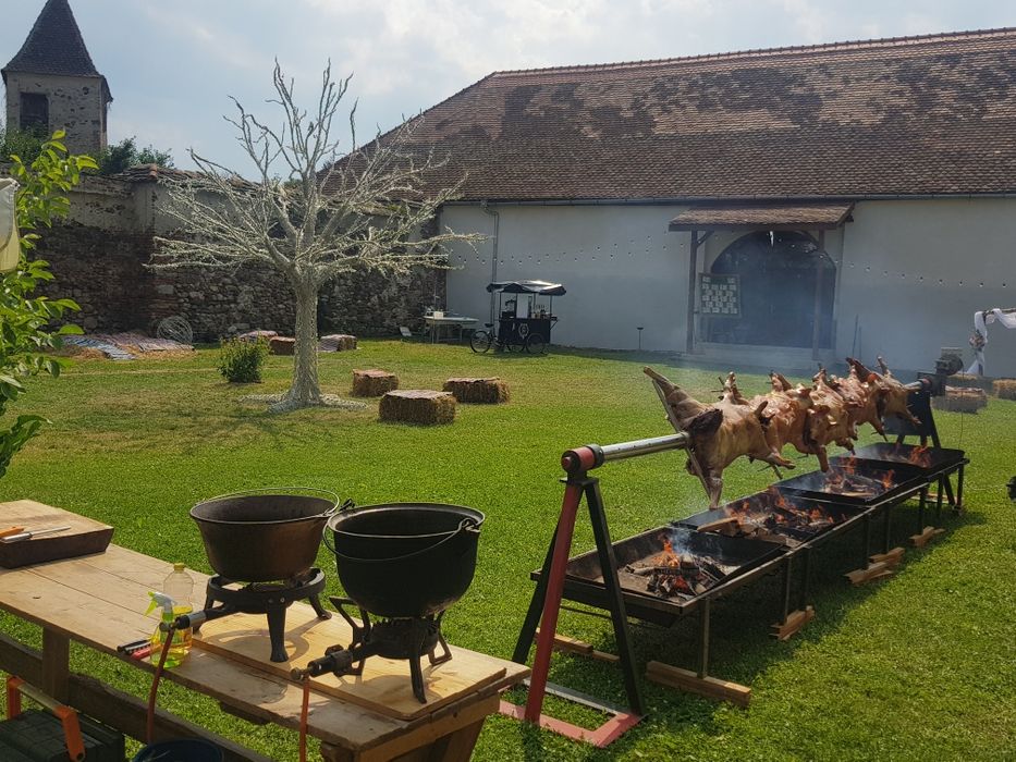 Animale protap rotisor nunti botezuri evenimente