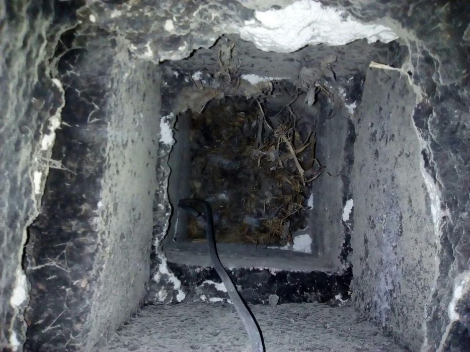 Коминочистач -Почистване на комини -Chimney sweeper