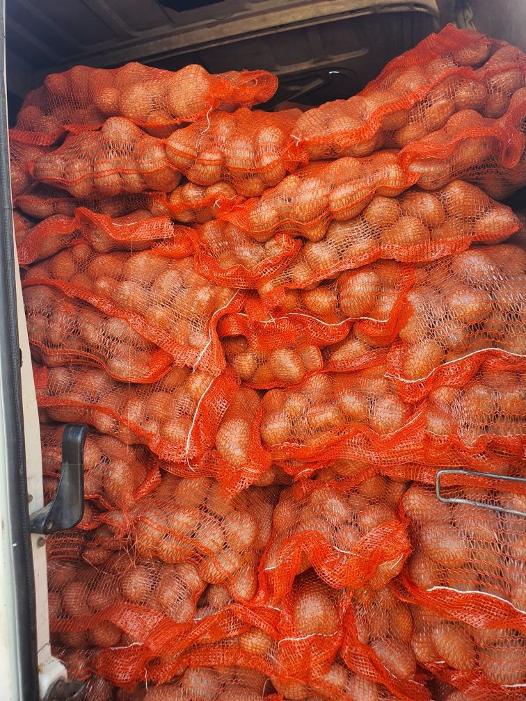 Vând cartofi consum