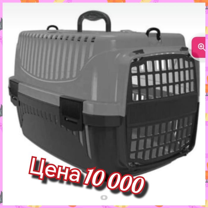 Вы можете приобрести у меня переноски, пластиковые авиа боксы.Доставка