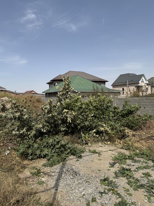 Дрова отын бесплатно
