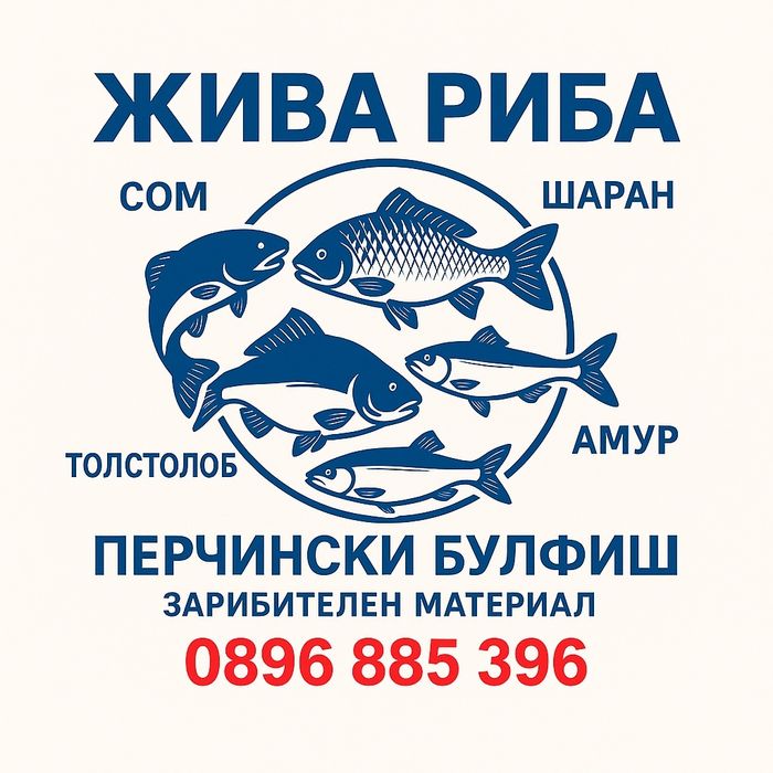 Продавам ЖИВА РИБА на разнос за Първомайци, Горна Оряховица, Лясковец,