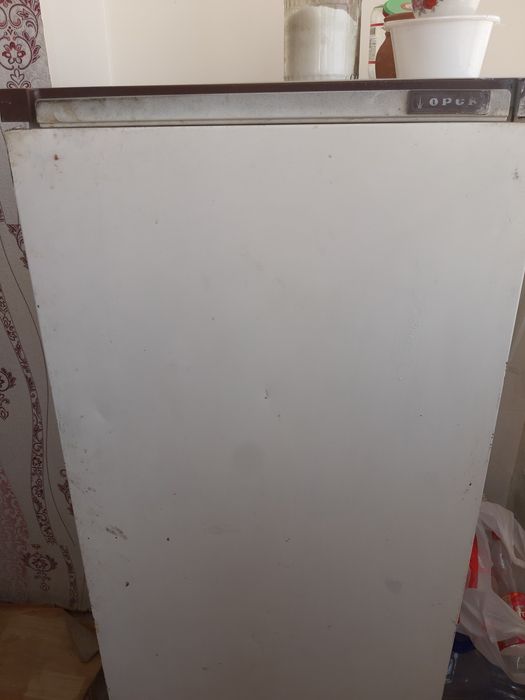 Xaladelnik  buxoro  shahar