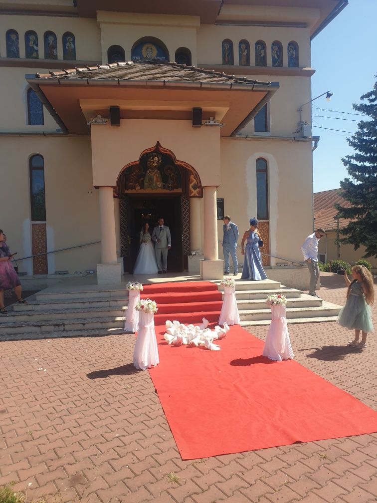 Porumbei albi ptr nunti