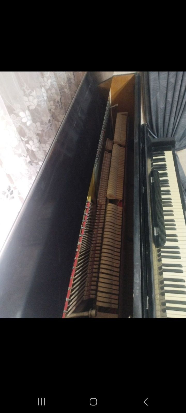 Pianino xolati zur