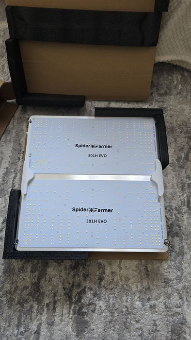 LED Spider Farmer SF2000 PRO – Samsung 301H EVO Cultivare indoor grow